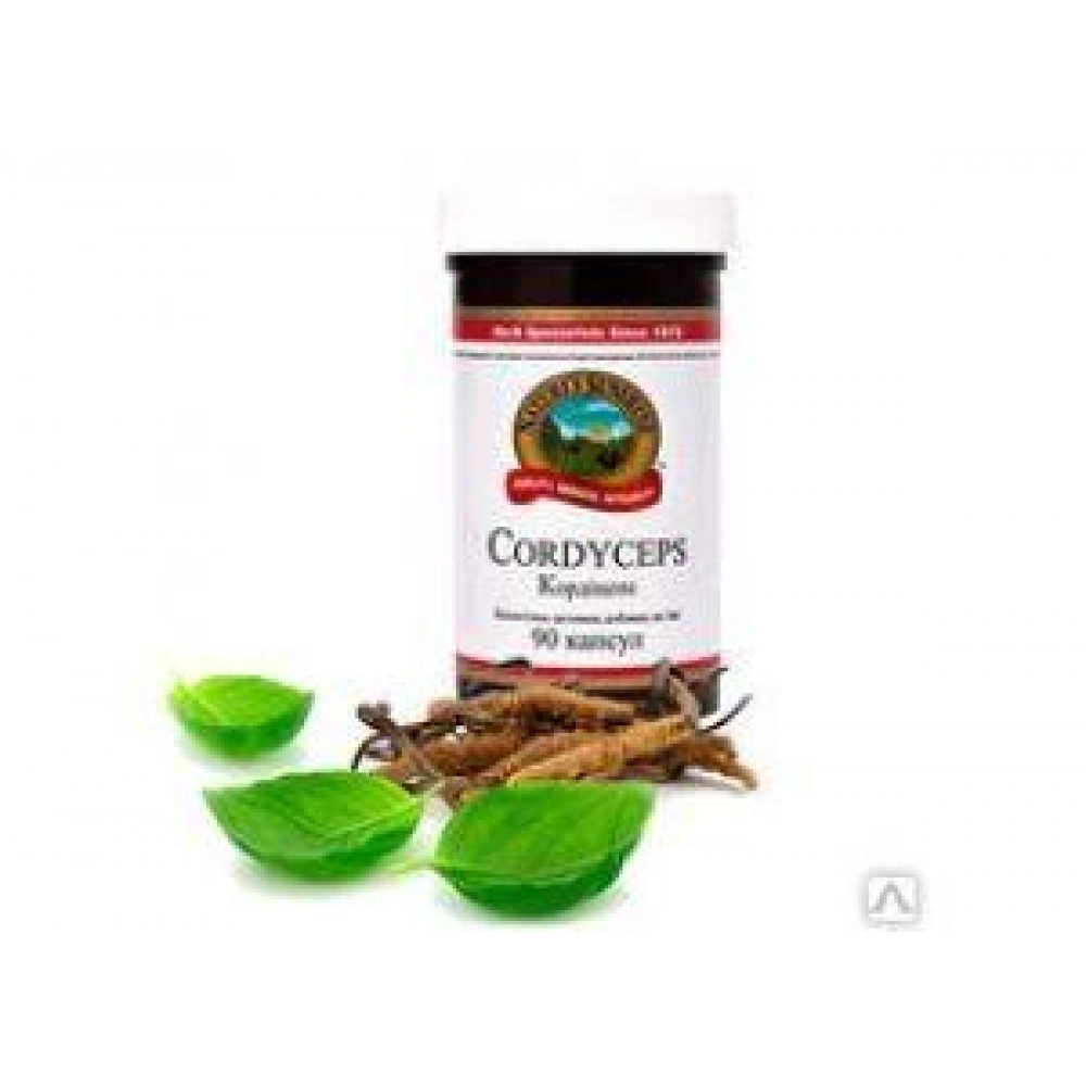 Кордицепс НСП, 100 капсул бад